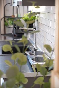 Foto dalla galleria di Dimitras luxury apartments a Ofrínion