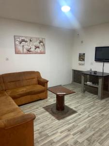 TV a/nebo společenská místnost v ubytování Apartman Jošanička Banja
