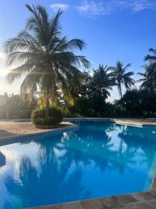 a blue swimming pool with a palm tree in the background at Golden Sun and Sand Studios in Diani Beach