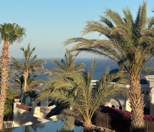 a view of a resort with palm trees and the ocean at Casa Santos Pedregal in Cabo San Lucas