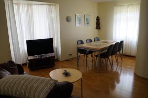 TV a/nebo společenská místnost v ubytování Skógar Apartment