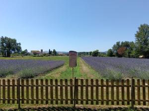 L'Antico Fienile外面的花园