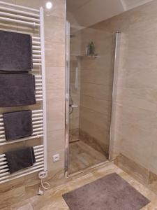 a shower with a glass door in a bathroom at Apartmán Rožmberský sen in Rožmberk nad Vltavou +18 photos