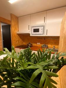 Η κουζίνα ή μικρή κουζίνα στο LOFT Céntrico MALIAÑO - DUA ROOMS +16 φωτογραφίες