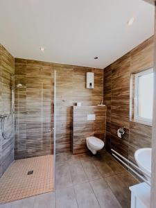 un bagno con doccia, WC e lavandino di Haus Marksburg a Lahnstein Altre 22 foto