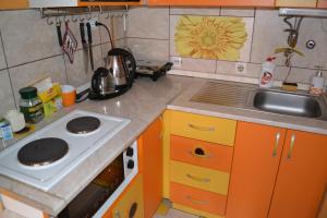 Kuchyň nebo kuchyňský kout v ubytování Apartment Adela