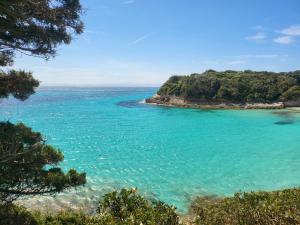 Gallery image of BandB - les rosiers - Corse - chambre Garance in Conca +27 photos