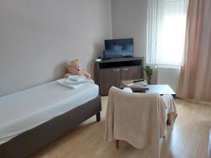 TV a/nebo společenská místnost v ubytování Apartments MIMOZA