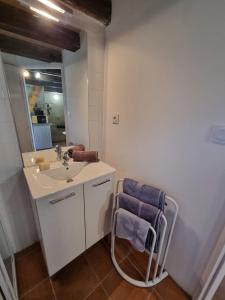Koupelna v ubytování Maisonnette dans village médiéval - 2 pers - piscine privée & jardin