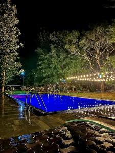a blue boat in the water at night at Birds Paradise Inn in Udawalawe