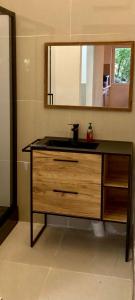 une salle de bain avec un lavabo et un miroir dans l'établissement Charmant appartement au calme sur jardin, à Saint-Brice-sous-Forêt