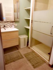 Un baño con ducha, lavabo y espejo. en Grand appartement avec garage et terrasse, en Castelnau-le-Lez