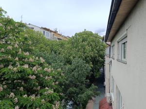 スコピエにあるMlin Balkan Roomsの二棟の間の路地