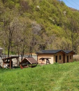 a cabin and a picnic table in a field at Căsuțele de vară in Vişeu de Sus