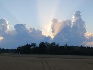 un cielo nublado con un campo y árboles en primer plano en Ferienwohnung Down Under am Bodensee, en Uhldingen-Mühlhofen
