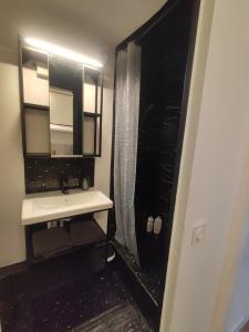 a bathroom with a sink and a mirror and a shower at Rue Saint Romain - Cathédrale - cour in Rouen +4 photos