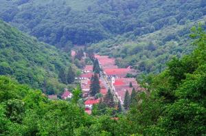 Příroda nedaleko apartmánu