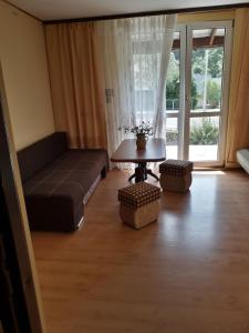 a living room with a couch and a table at Bieszczadzkie Spanie Cisna 9 in Cisna