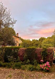 Zahrada ubytování Le Roi Soleil - Proche Avenue de Paris - Cozy