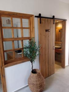 a plant in a vase next to a door at Hotel Flisvos in Megalochori