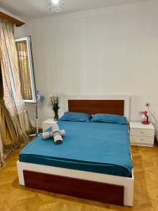 Voodi või voodid majutusasutuse california hostel toas