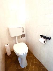 baño con aseo y 2 rollos de papel higiénico en Wohnung mit wunderschönem Seeblick, en Gmunden 4 fotos más