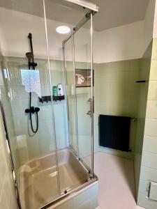 a shower with a glass door in a bathroom at Orange Zebra Suite 4P mit Tiefgarage in Wetter