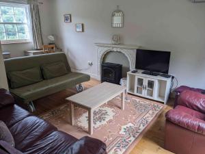 a living room with a couch and a fireplace at Jasmine Cottage in Llangollen