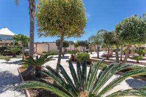 a park with palm trees and plants at La Pineta Residence in Otranto +34 photos