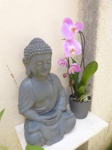 En have udenfor Villa Zen