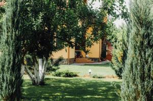 a yard with trees and a house in the background at Villa Fenix in Berehove