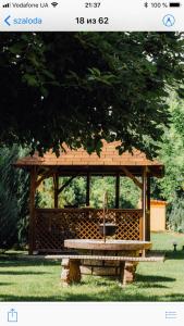 a wooden gazebo with a fountain in a park at Villa Fenix in Berehove