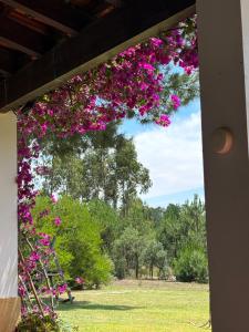 een bos bloemen hangend aan een pergola bij The S House - Santo Estêvão in Santo Estêvão