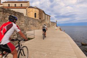 Jazda na bicykli v okolí ubytovania Apartment in Porec with balcony, WiFi 819-3