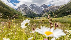 Paesaggio naturale nelle vicinanze dell'hotel