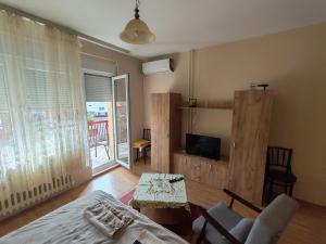 TV a/nebo společenská místnost v ubytování City Park Rooms
