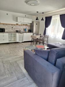 a living room with a blue couch and a kitchen at Noclegi Różanka in Radomierz
