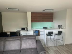salon z kanapą i kuchnią w obiekcie Luxusný apartmán s bezplatným parkovaním v objekte a self-checking w mieście Brenner
