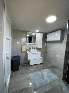 a bathroom with a white sink and a mirror at Home DINA in Ilidža +24 photos