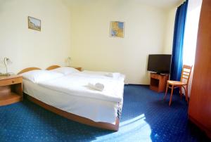 Habitación de hotel con cama y TV en Corvin Hotel, en Győr