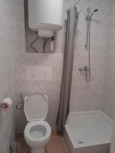 a small bathroom with a toilet and a shower at charmant studio avec balcon 2 in Perpignan
