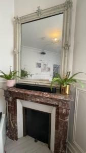 a mirror over a fireplace with two potted plants on it at Maison Chic familiale avec Jardin in Gennevilliers