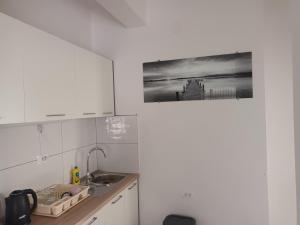 Kuhinja ili čajna kuhinja u objektu Marin Apartments