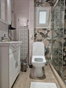 Un baño con inodoro, lavabo y ducha. en Galeriya Apartment, en Tesalónica 10 fotos más