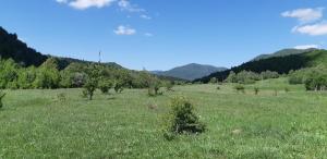 a green field with trees and mountains in the background at Camping Pentru Rulote, Auto Rulote, Corturi Personale La Barbosu in Lepsa, Vrancea in Lepşa