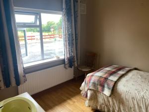 Gallery image of Palm Grove B&B in Cashel