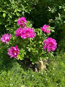 Photo de la galerie de l'établissement Eco-lodge Ecoute la Vie, à Lunay