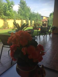 a vase filled with orange flowers on a patio at Villa Fenix in Berehove +22 photos