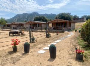 un groupe de bâtiments avec des chevaux et des plantes en pot dans l'établissement Les Chalets de Tesa, à Occhiatana