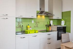 Kuchyň nebo kuchyňský kout v ubytování Apartment Mande